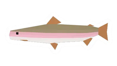 Unturned Rainbow Trout food icon