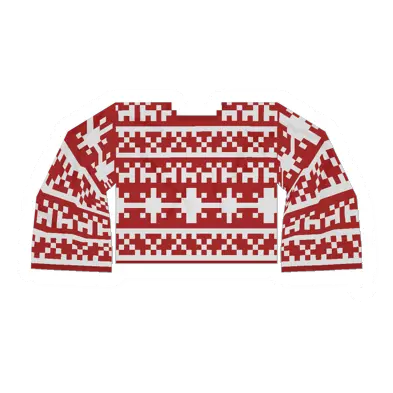 Unturned Red Sweater clothing icon