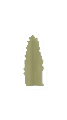 Unturned Agave food icon