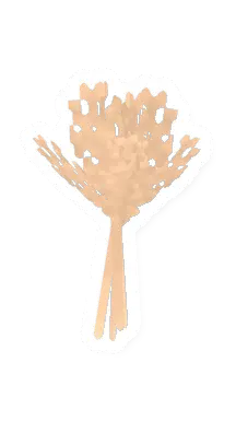 Unturned Wheat food icon