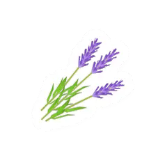 Unturned Purple Flower barricade icon