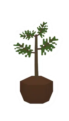 Unturned Pine Sapling item icon