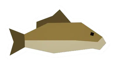 Unturned Raw Carp icon