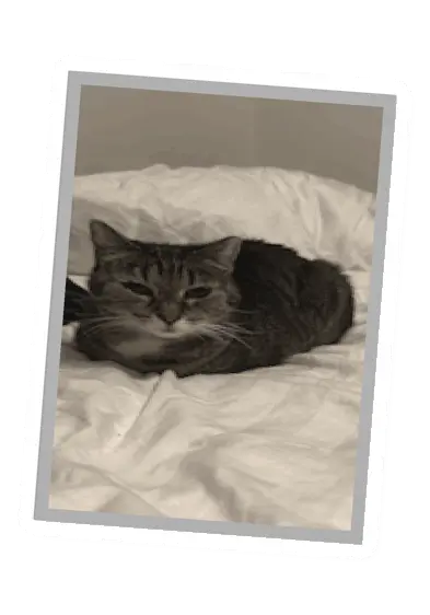 Unturned Poster barricade icon