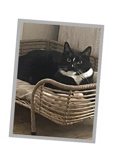 Unturned Poster barricade icon