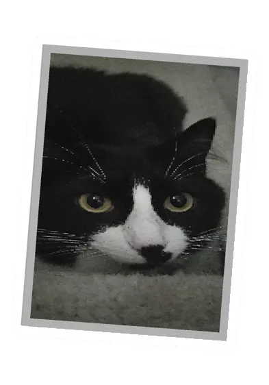 Unturned Poster barricade icon