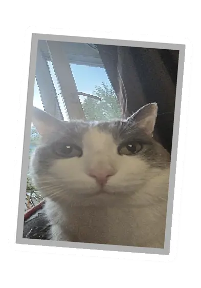 Unturned Poster barricade icon