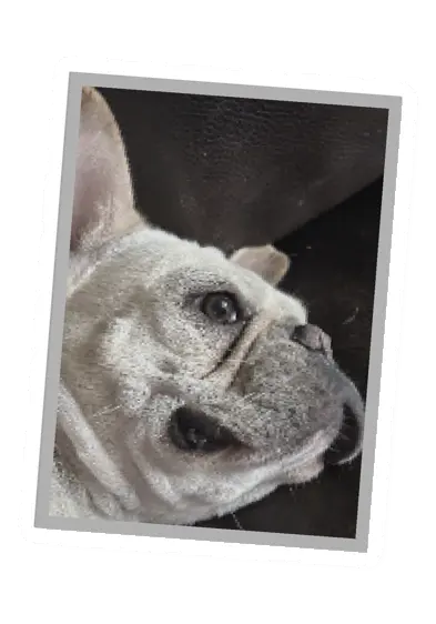 Unturned Poster barricade icon