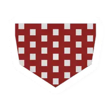 Unturned Red Bandana item icon