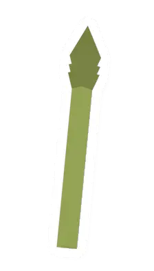 Asparagus