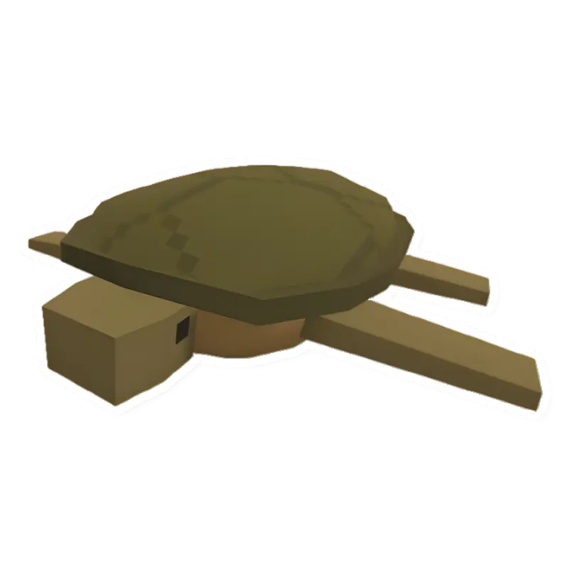 Turtle