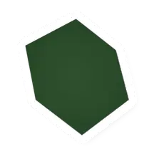 Algae