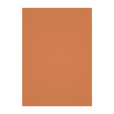 Orange DCC Coat