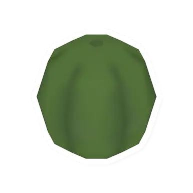 Whole Cantaloupe