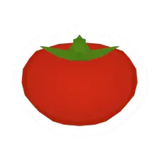 Tomato