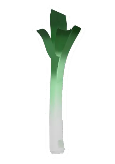 Scallion