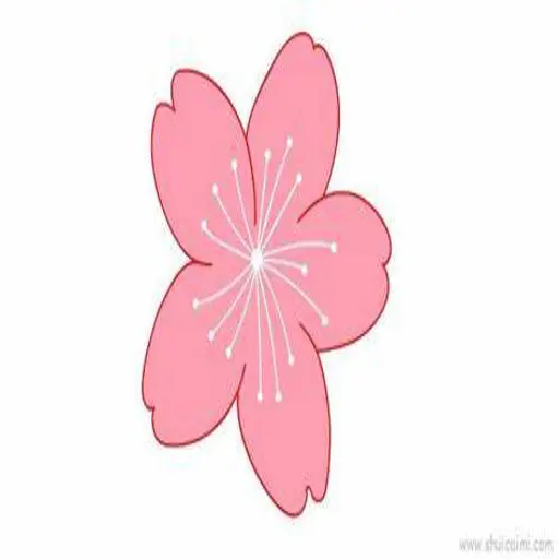 Server Icon