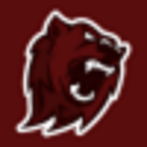 Server Icon