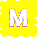 Server Icon