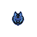 Server Icon