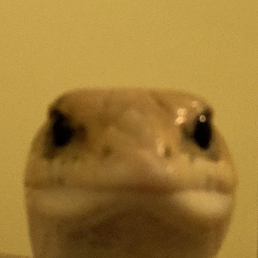 Skink | Unturned server icon