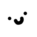 Server Icon