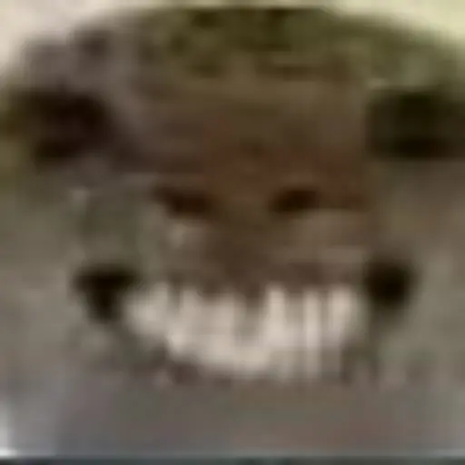 神人小屋 | HUOLの长夜狩猎 | 体验氢松狩猎 server icon