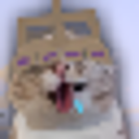 Server Icon