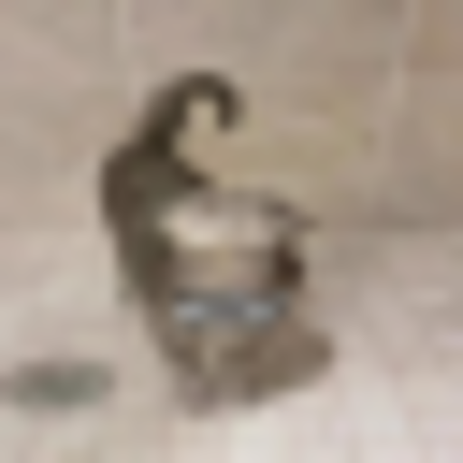 meow and purr server icon