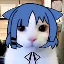 Server Icon