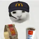 Server Icon