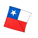 Server Icon