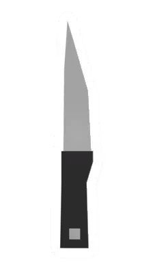 Kitchen Knife