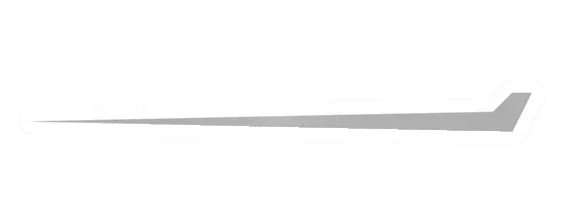 Bayonet